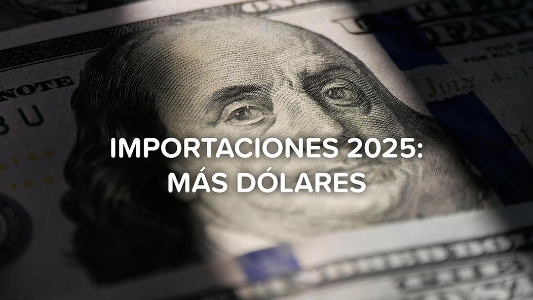 Importaciones 2025: Radiografía del Incremento de la Demanda de Divisas