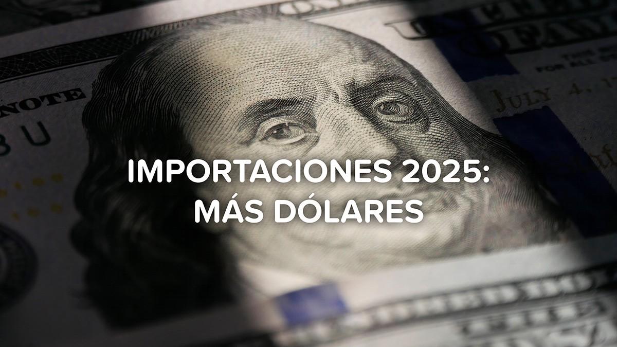 Importaciones 2025: Radiografía del Incremento de la Demanda de Divisas